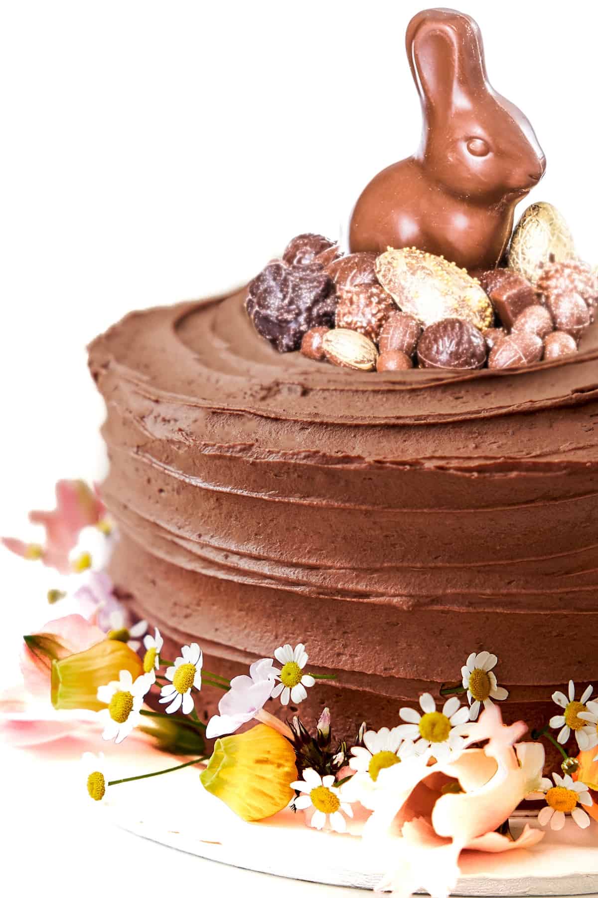 Quick Chocolate Easter Cake: Simple Victoria Sponge Recipe